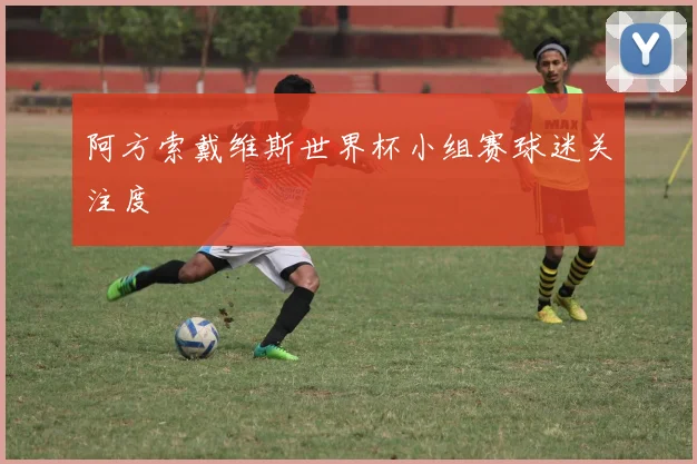 阿方索戴维斯世界杯小组赛球迷关注度