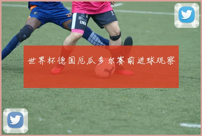 世界杯德国厄瓜多尔赛前进球观察