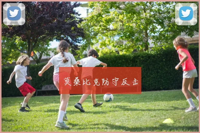 莫桑比克防守反击