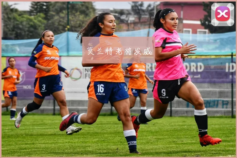 莫兰特老将发威