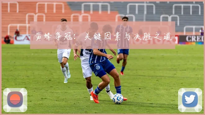 黄蜂争冠：关键因素与决胜之道