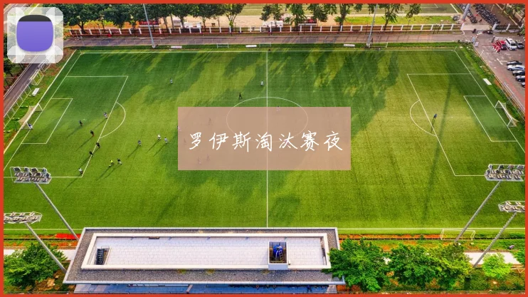 罗伊斯淘汰赛夜