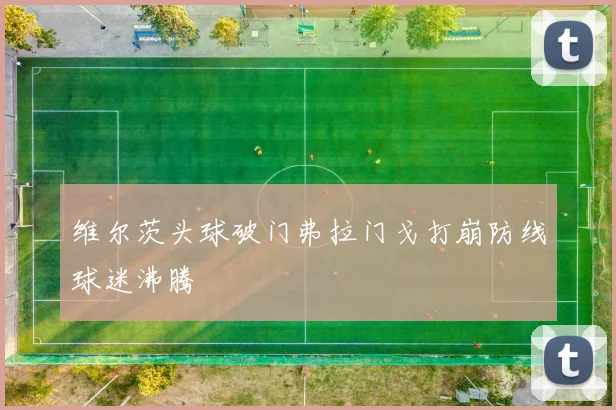 维尔茨头球破门弗拉门戈打崩防线球迷沸腾