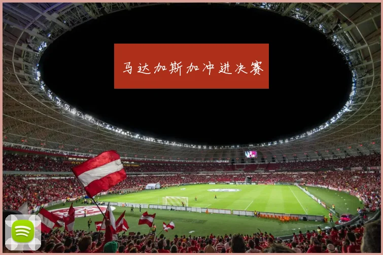 马达加斯加冲进决赛