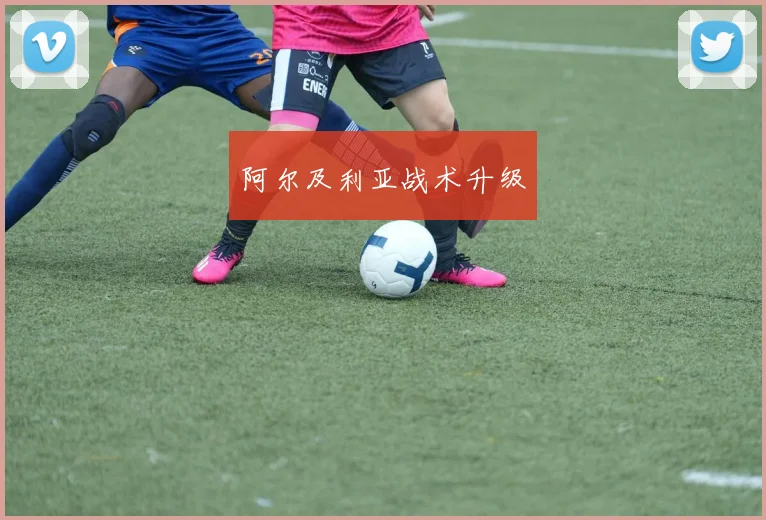 阿尔及利亚战术升级