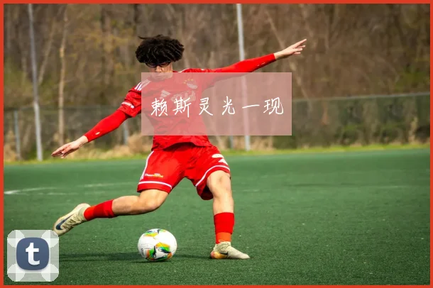 赖斯灵光一现