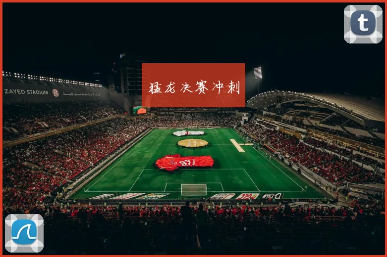 猛龙决赛冲刺