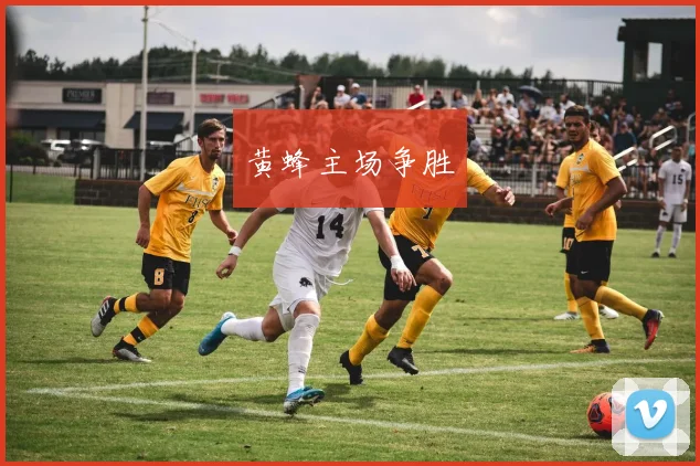 黄蜂主场争胜