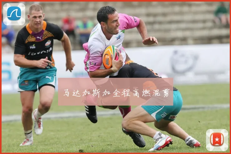 马达加斯加全程高燃混剪
