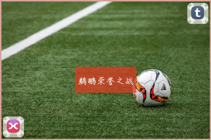 鹈鹕荣誉之战
