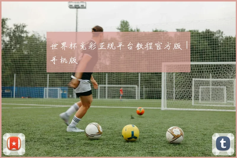 世界杯竞彩正规平台教程官方版｜手机版