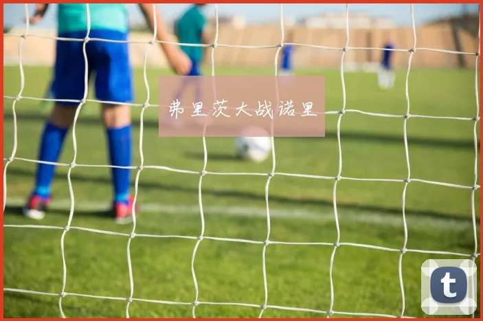 弗里茨大战诺里