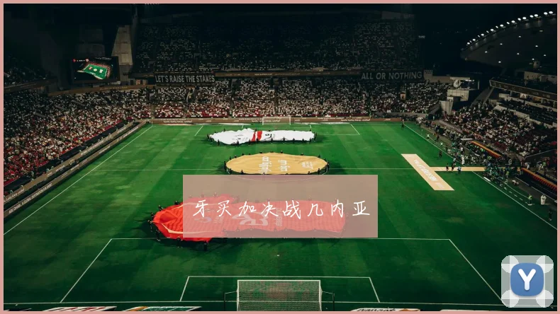 牙买加决战几内亚
