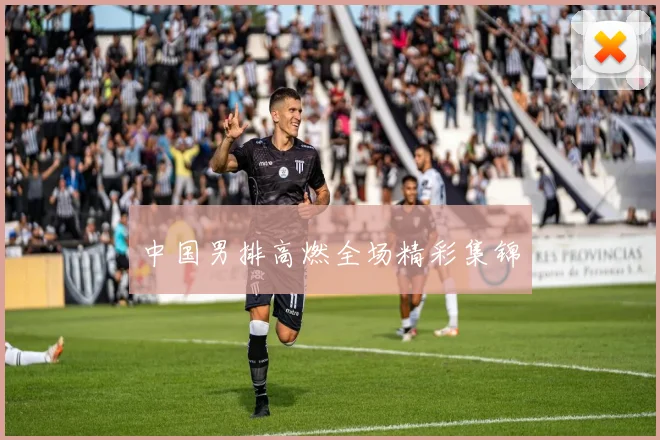 中国男排高燃全场精彩集锦