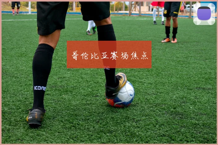 哥伦比亚赛场焦点