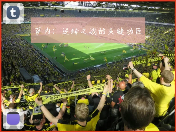 萨内：逆转之战的关键功臣