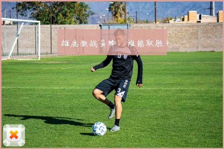 雄鹿激战黄蜂，谁能取胜