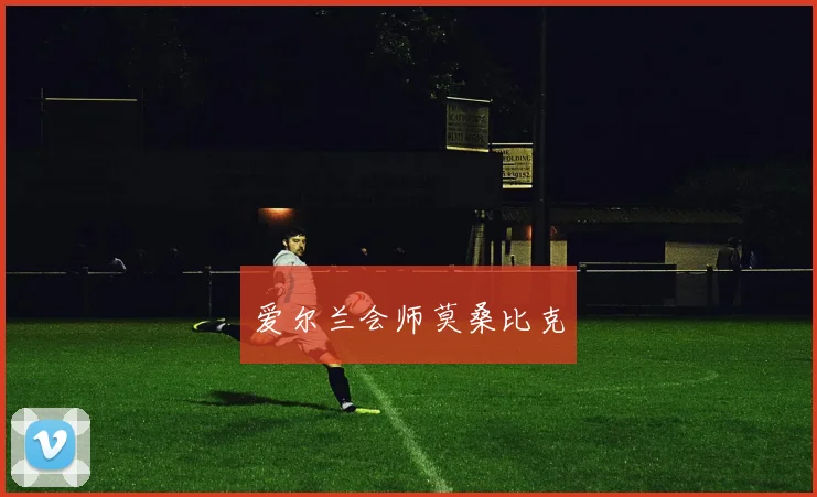 爱尔兰会师莫桑比克