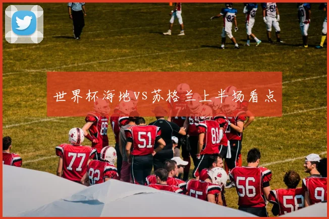 世界杯海地vs苏格兰上半场看点
